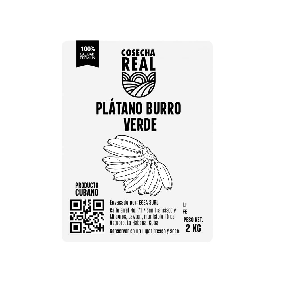 Plátano burro verde Cosecha Real (2 kg / 4.4 lb) - Miniatura 3
