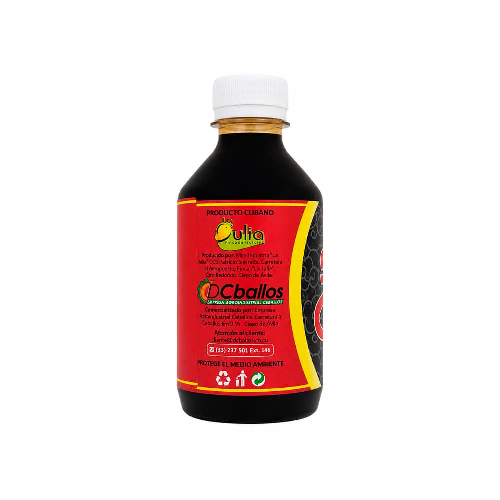Salsa china D'Ceballos (240 ml) - Miniatura 2