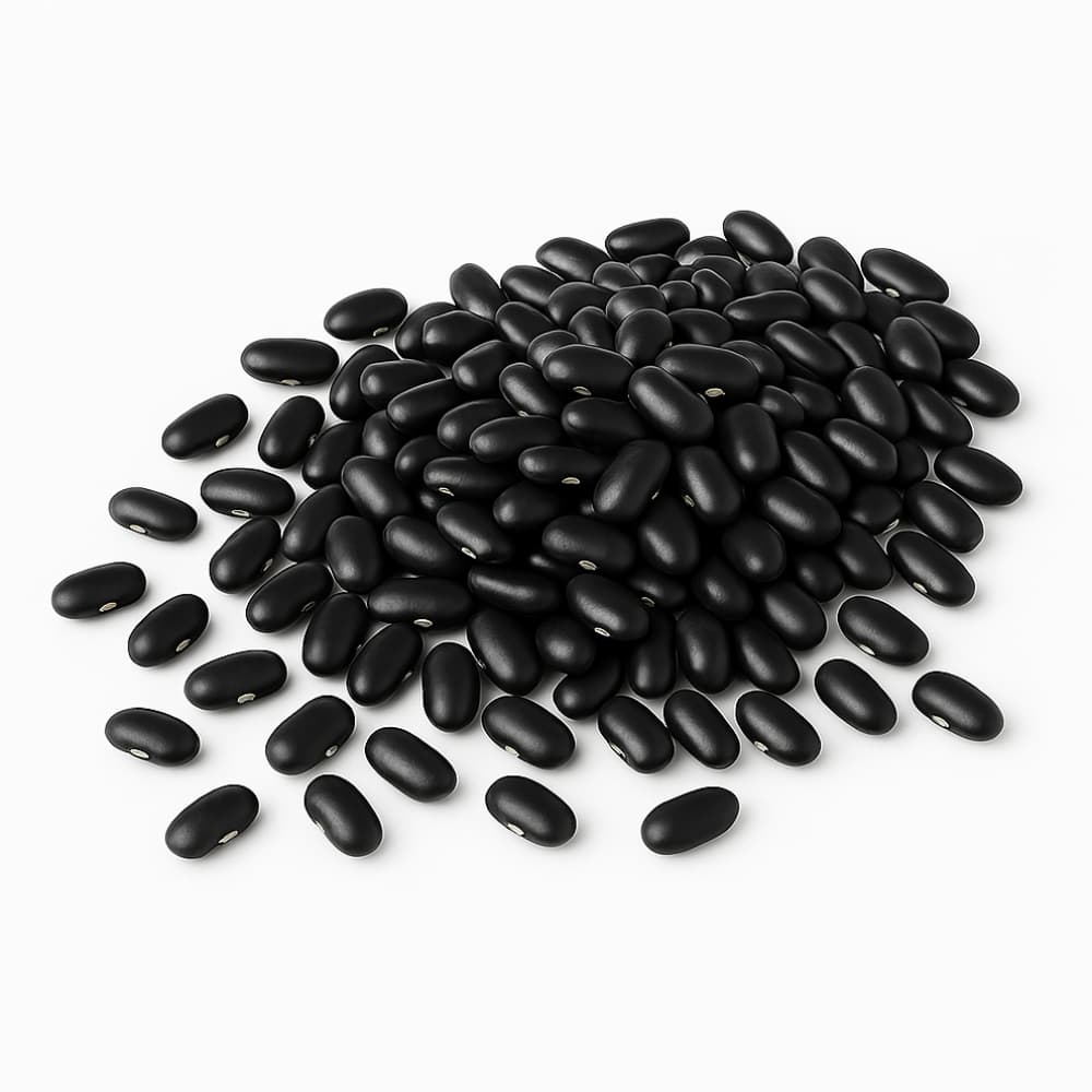 Frijoles negros (1 kg / 2.2 lb) - Imagen 1