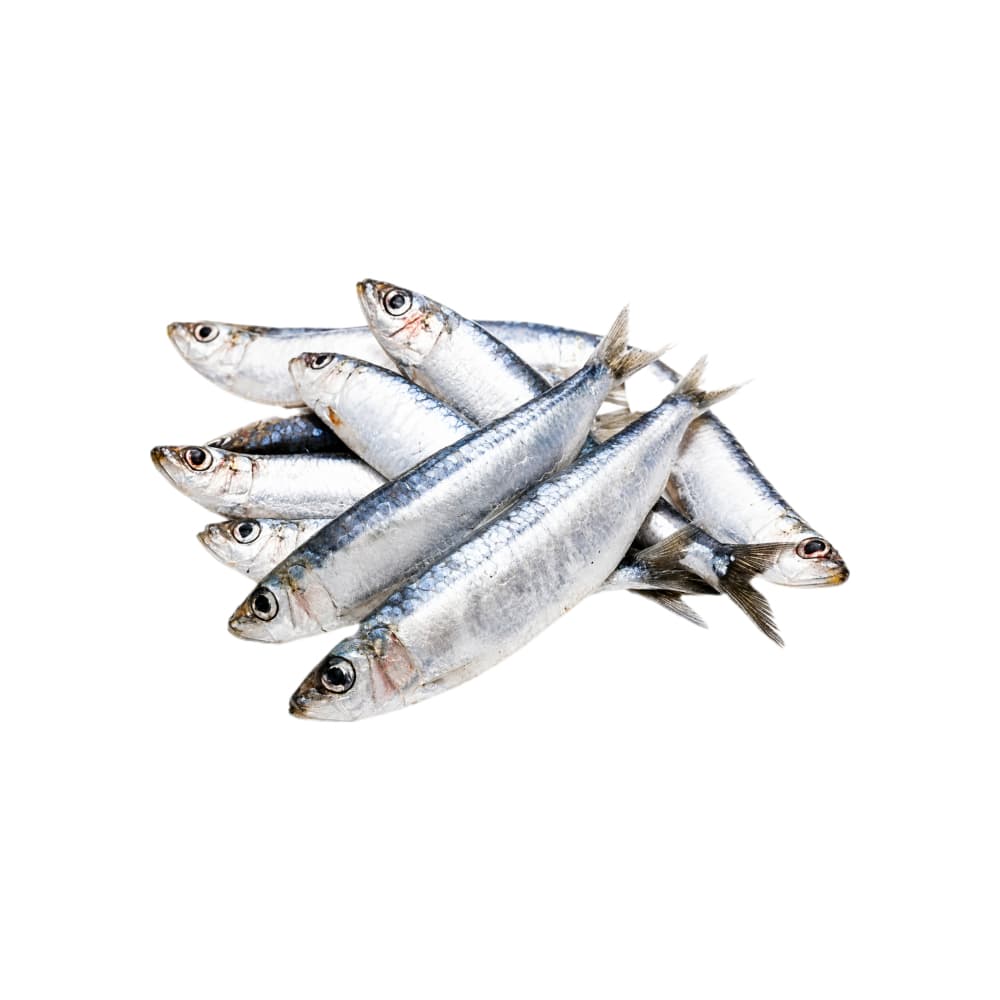 Sardinas enteras La Finca (454 g / 1 lb) - Miniatura 1