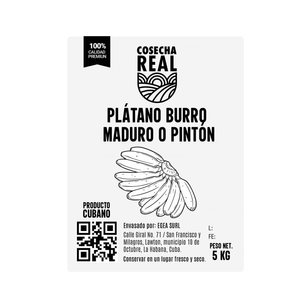 Plátano burro maduro o pintón Cosecha Real (5 kg / 11.02 lb) - Miniatura 2