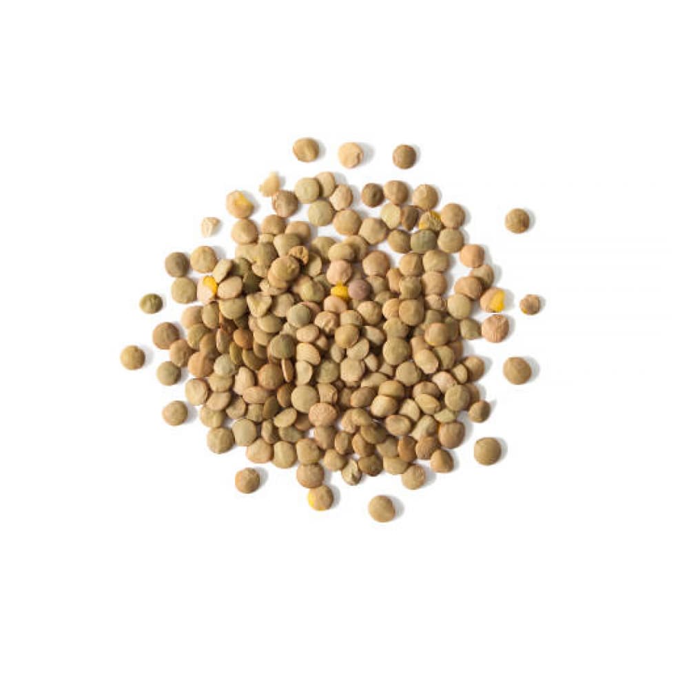 Lentejas Cosecha Real (2.26 kg / 5 lb) - Miniatura 7