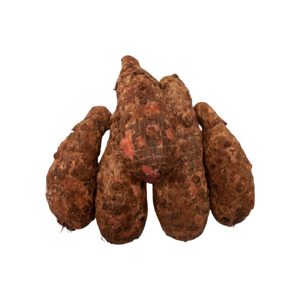 Malanga MCH-Campestre (1 kg / 2.2 lb) - Miniatura 3