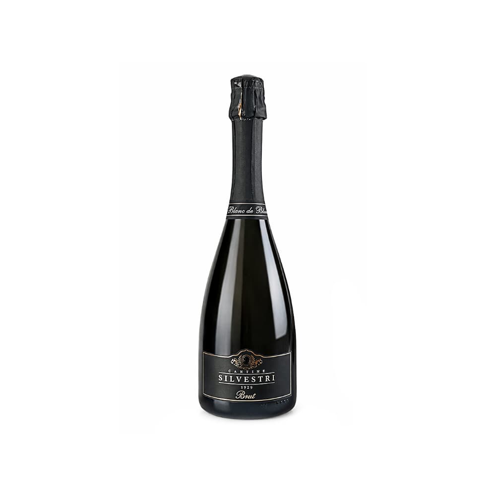 Vino Espumoso Blanc de Blancs Brut Cantine Silvestri 1929 (750 ml) - Miniatura 1