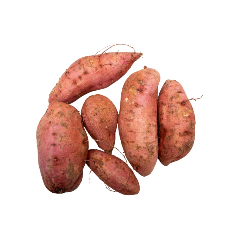 Boniato MCH-Campestre (1 kg / 2.2 lb) - Miniatura 4