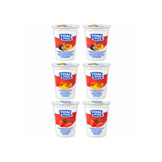 Combo mixto de yogures Tom Milk (6 x 500 g / 1.10 lb)