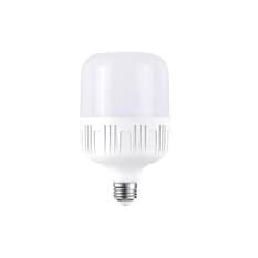 Bombillo LED 10 W Silver Light Shuai