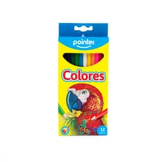 Juego de 12 lápices de colores largos Pointer