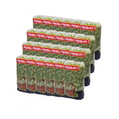 Chícharos verde Penelas (24 x 500 g / 1.1 lb)