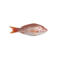 Pescado Pargo entero Allá (2.27 kg / 5 lb)