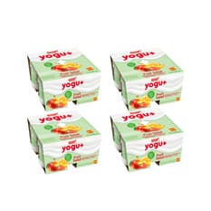 Yogur pasteurizado sabor a macedonia (16 x 125 g)