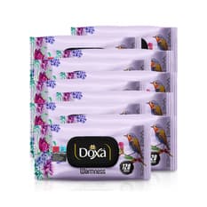 Toallitas húmedas con aroma cálido Doxa (10 x 120 U)