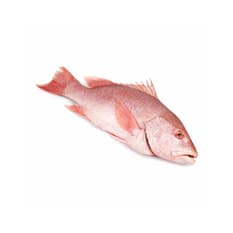 Pescado pargo entero Cosecha Real (3.5 kg / 7.71 lb)