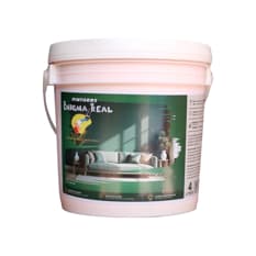 Pintura Acrílica Salmón Enigma Real (4 L)