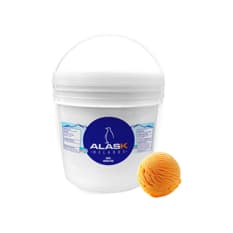 Helado de naranja piña Alask (4 L)