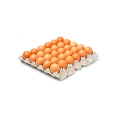 Huevo criollo orgánico e importado Peco (30 U)