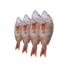 Pescado pargo rojo entero La Finca (2 kg / 4.4 lb)