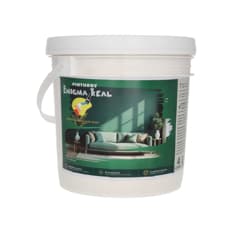 Pintura Acrílica Marfil ENIGMA REAL (4 L)