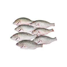 Pargo entero escamado Pescaito (2 kg / 4.4 lb)