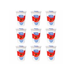 Yogurt pasteurizado sabor fresa con trocitos de frutas Tom Milk (9 x 500 g / 1.10 lb)