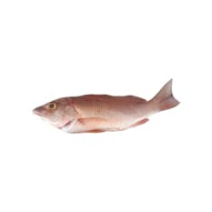 Pescado pargo cubera entero ALLÁ (2.27 kg / 5 lb)
