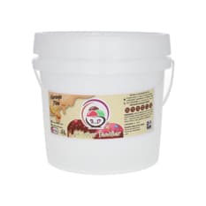 Helado sabor naranja piña R&D (4 L)