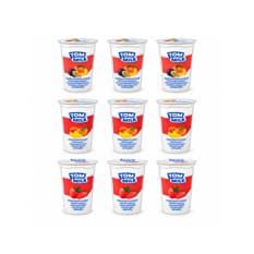 Combo mixto de yogures Tom Milk (9 x 500 g / 1.10 lb)