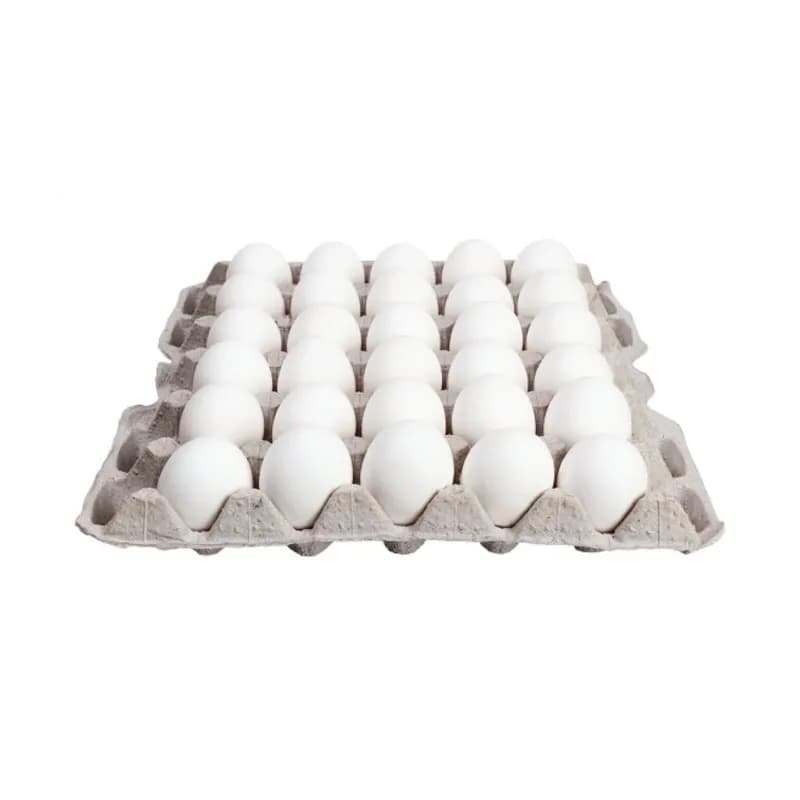 Carton de Huevos 30u - Imagen 1