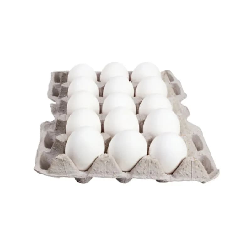 Carton de Huevos 15u - Imagen 1