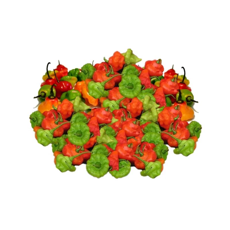 Ají Cachucha (3 Lb) - Imagen 1