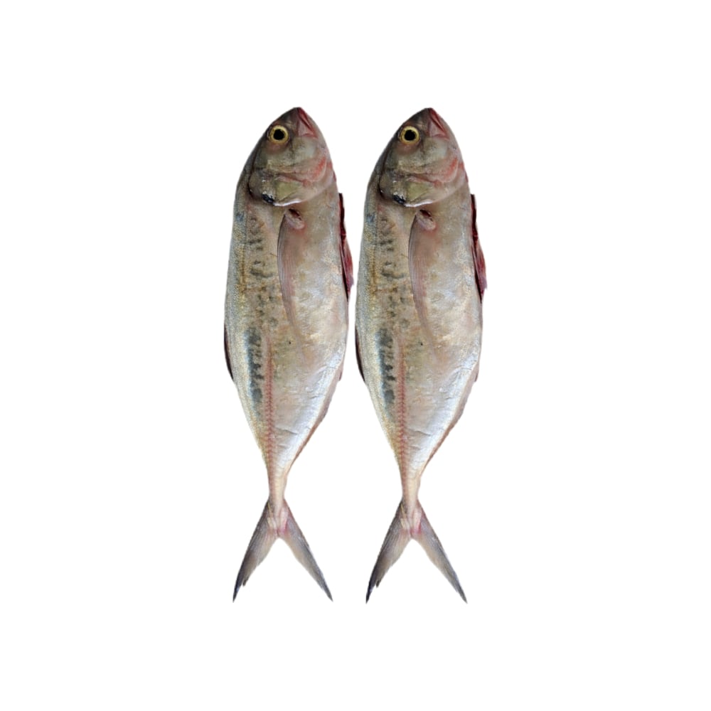 Pescado jurel entero La Finca (1 kg / 2.2 lb) - Imagen 1