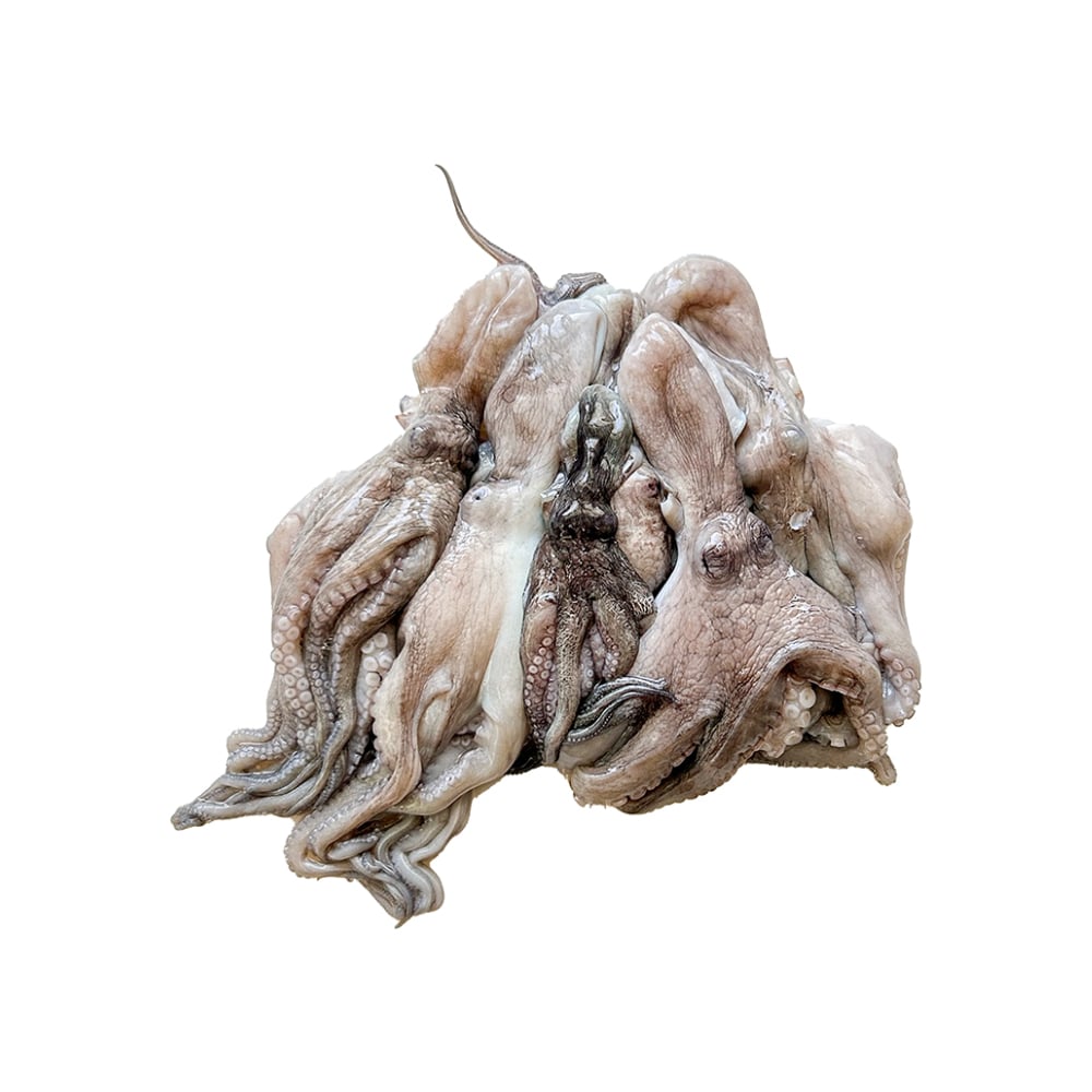 Pulpo limpio Pescaito (454 g / 1 lb) - Imagen 1