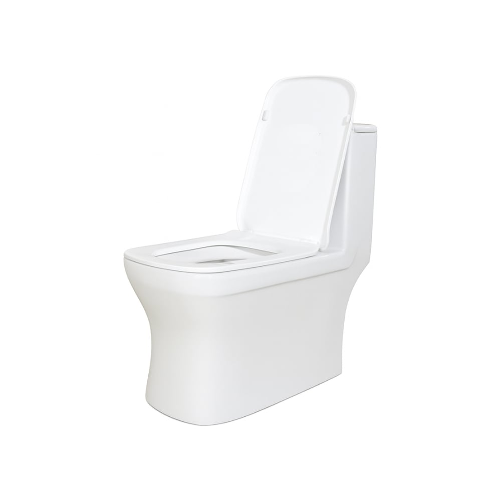 Juego de inodoro - Taza para baños sanitarios Zeric Modelo 106 - Imagen 1