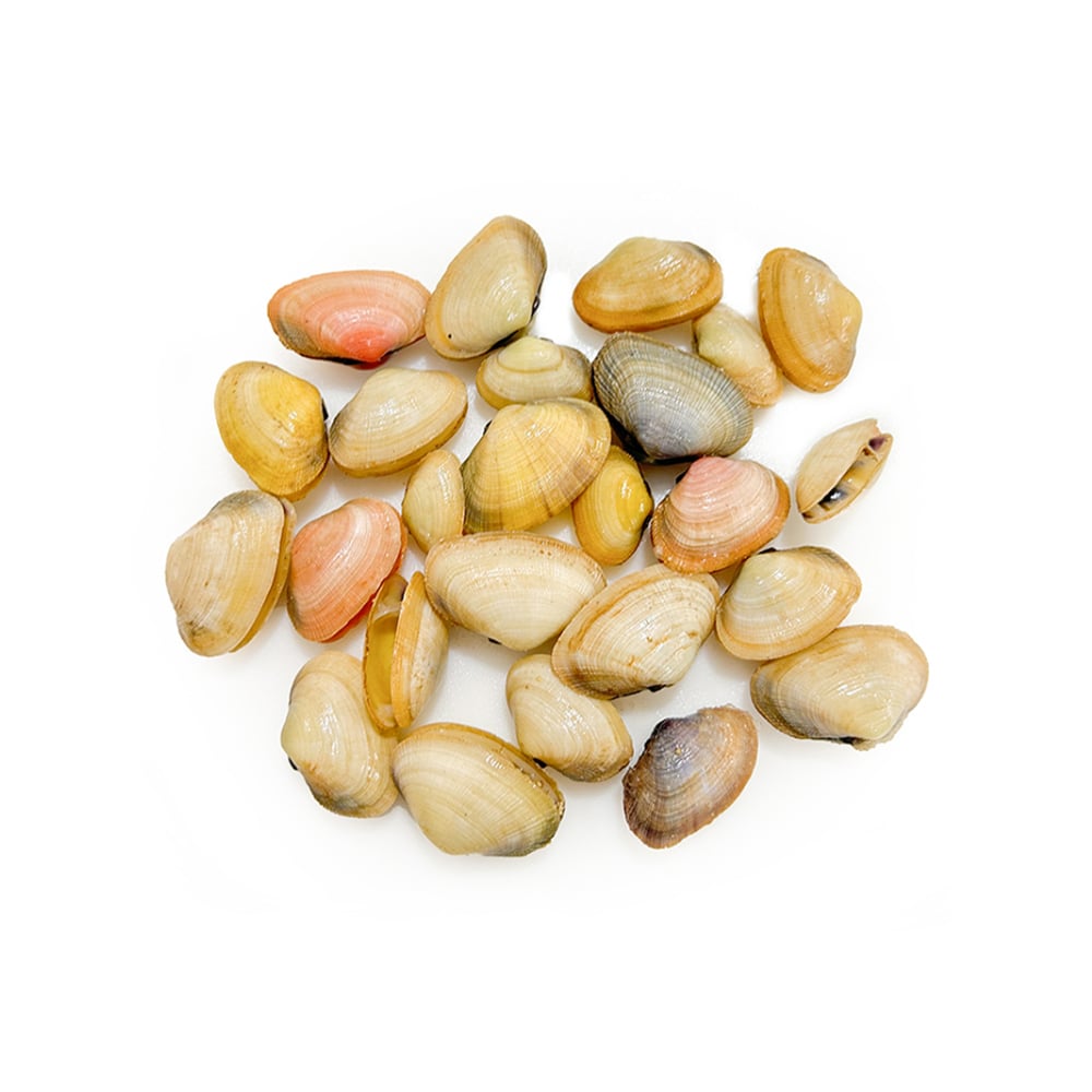 Almejas Pescaito (454 g / 1 lb) - Imagen 1