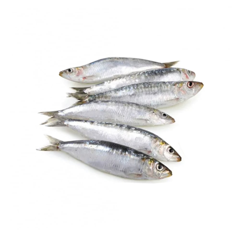 Sardinas enteras Pescaito (454 g / 1 lb) - Imagen 1