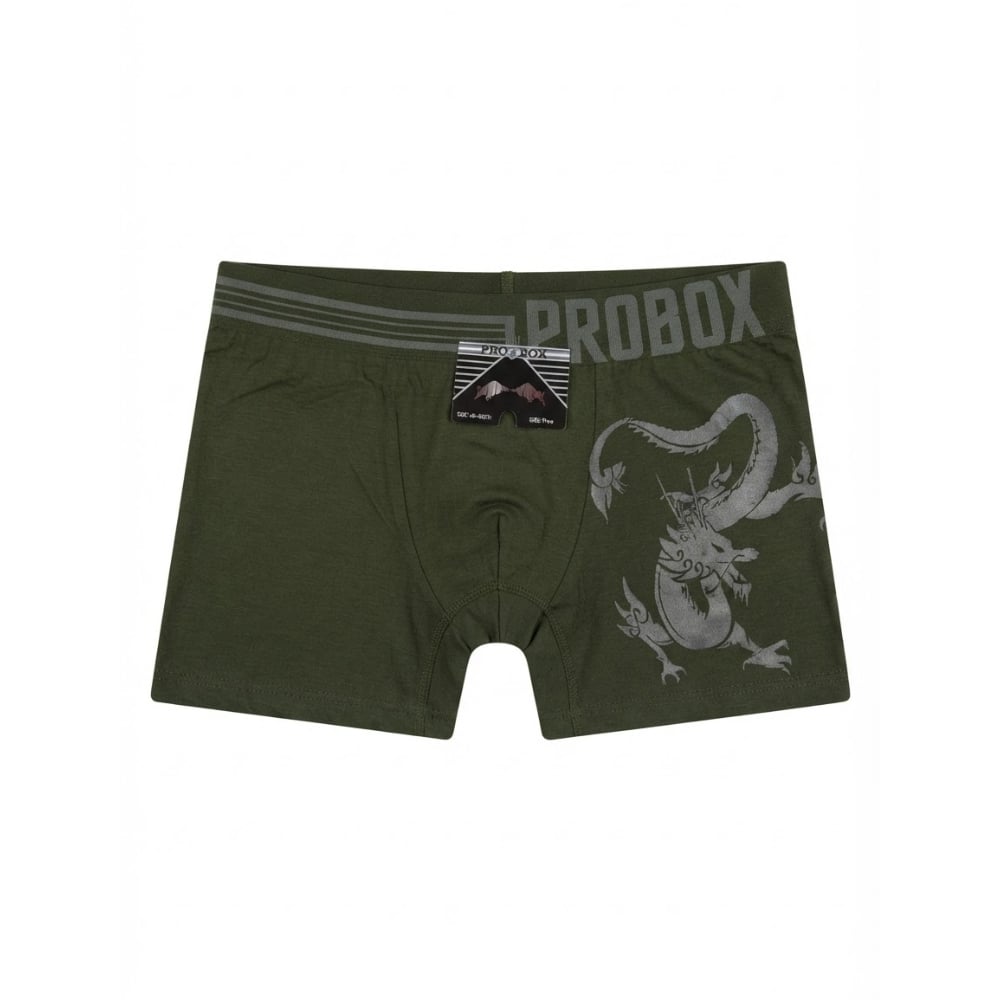 Calzoncillo verde para hombre Probox (Talla única) - Imagen 1