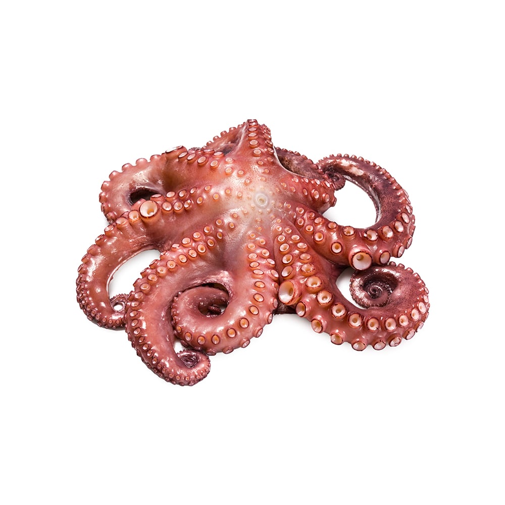 Pulpo limpio Pescaito (1 kg / 2.2 lb) - Imagen 1