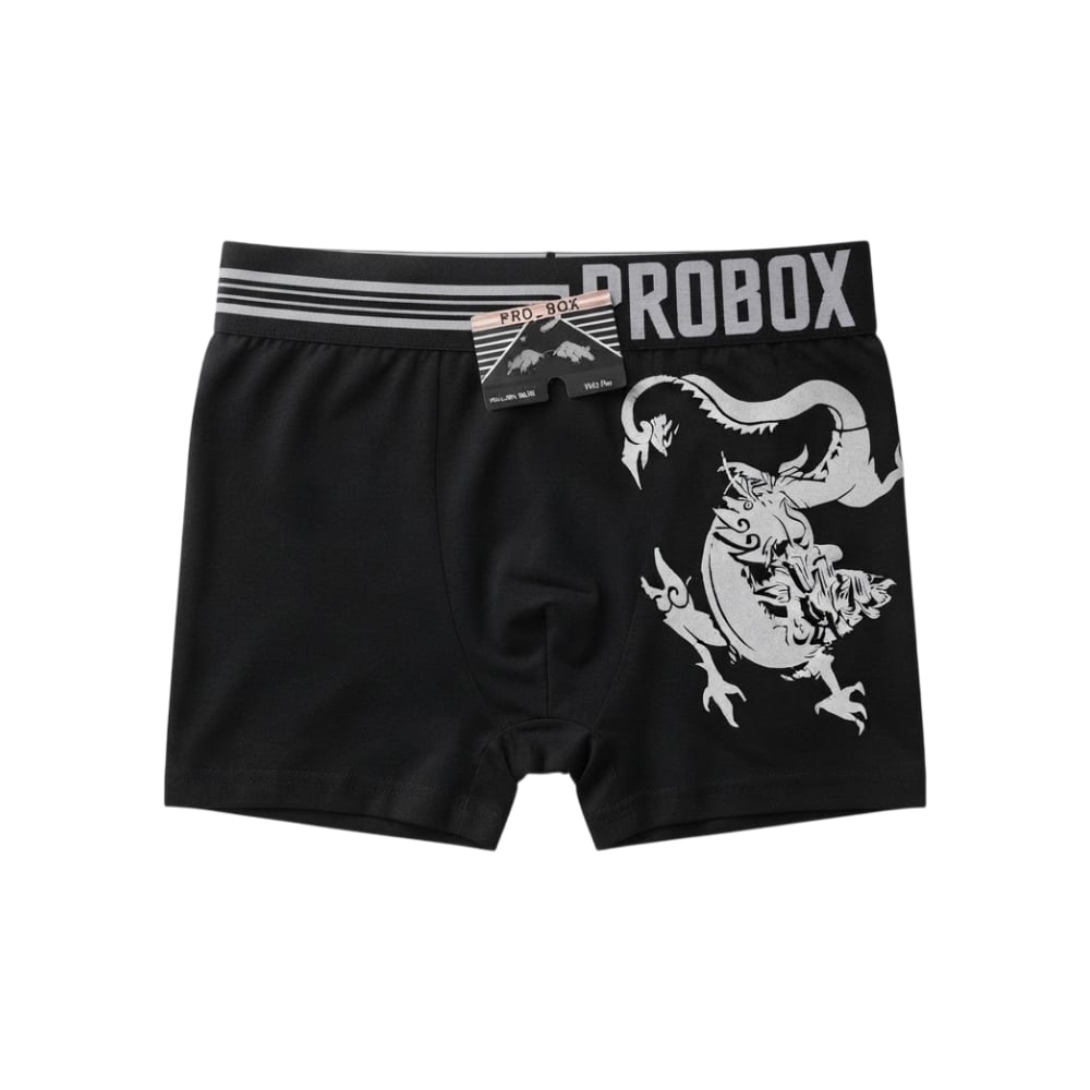 Calzoncillo para hombre negro con diseño de dragón Probox (Talla única) - Imagen 1