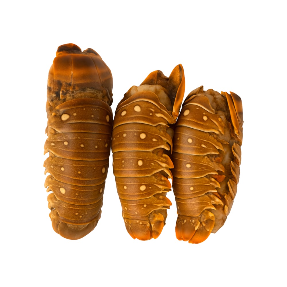 Cola de langosta Yunque (907 g / 2 lb) - Imagen 1