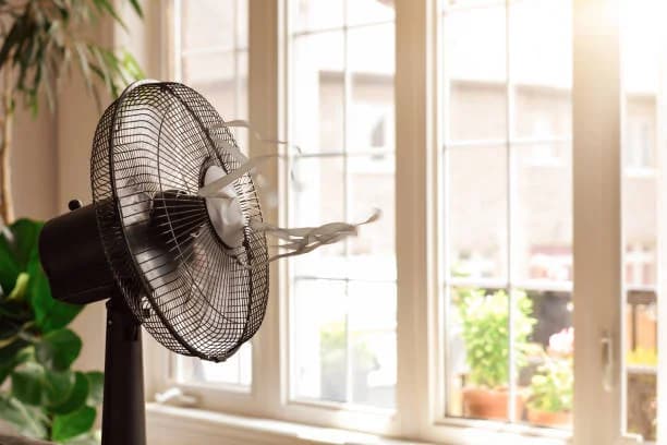 Refresca Tu Vida con Estilo: Enviar Ventiladores de Pedestal a Cuba