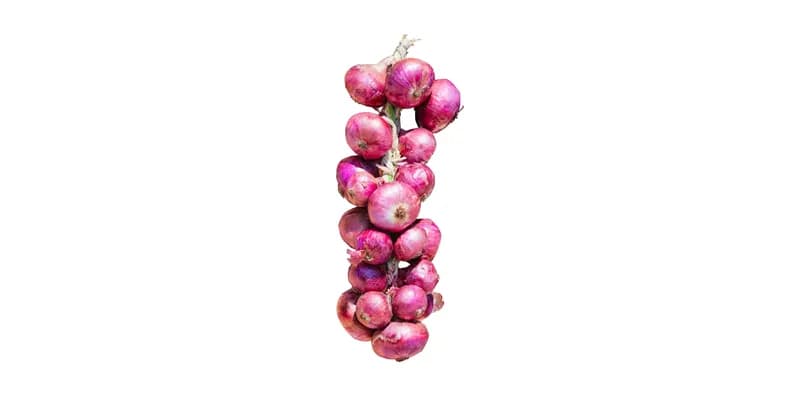 Pata de Cebollas 20u