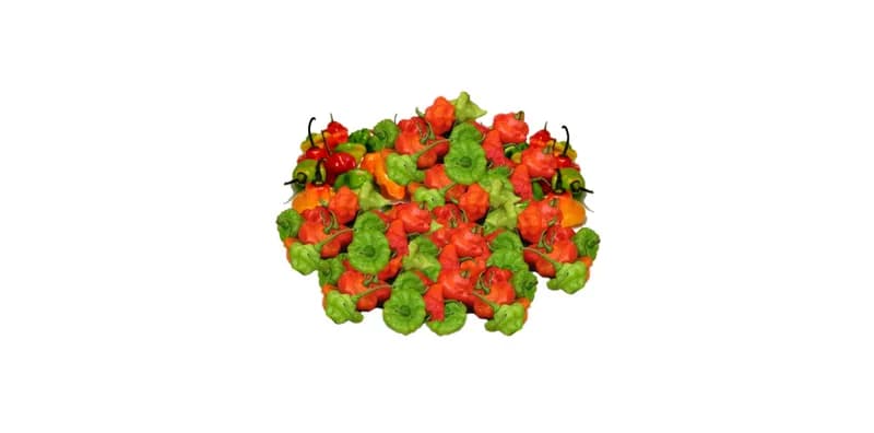 Ají Cachucha (3 Lb)