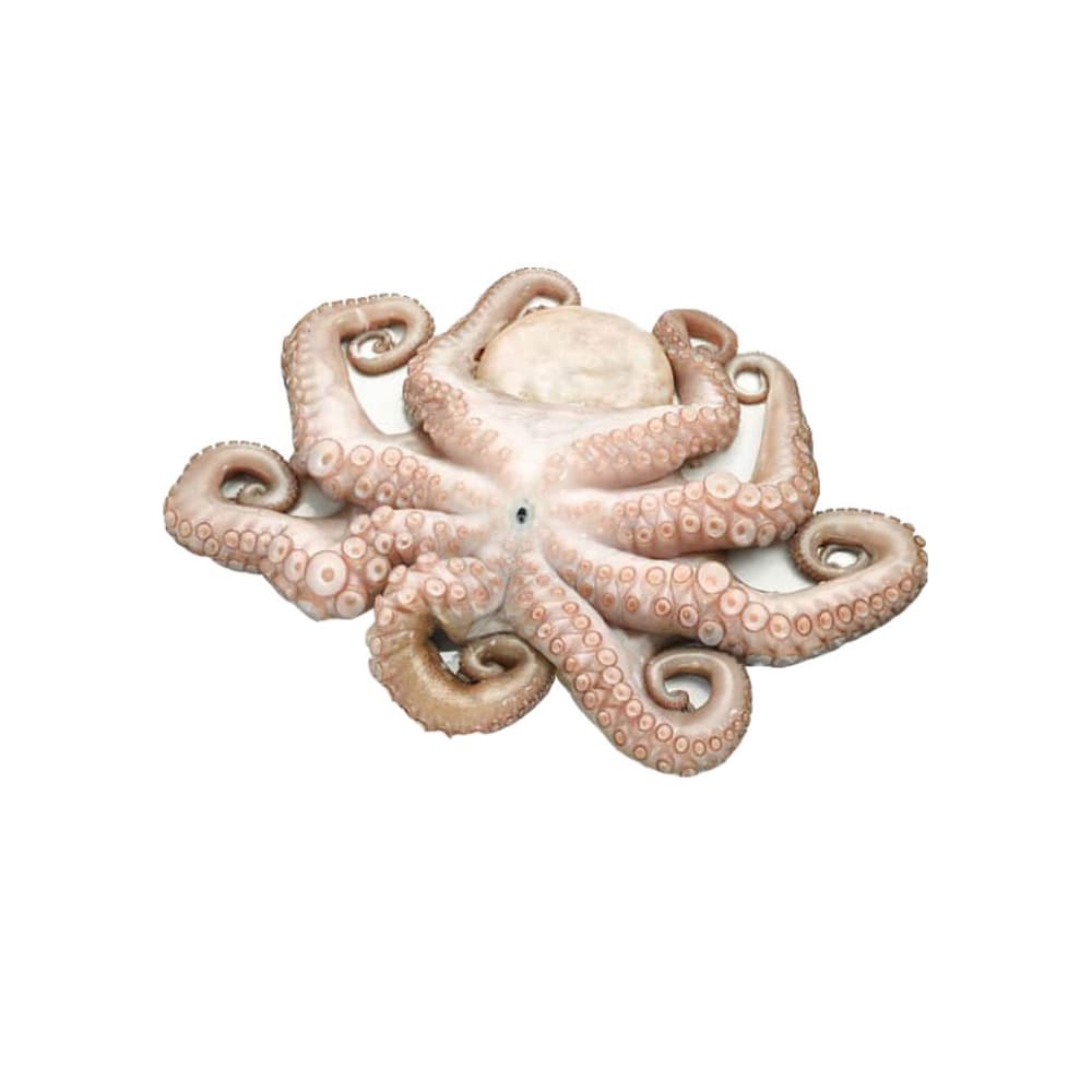 Pulpo limpio ALLÁ (907 g / 2 lb) - Imagen 1