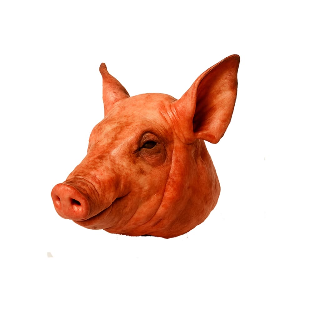 Cabeza de cerdo Peco (5 kg / 11.02 lb) - Imagen 1