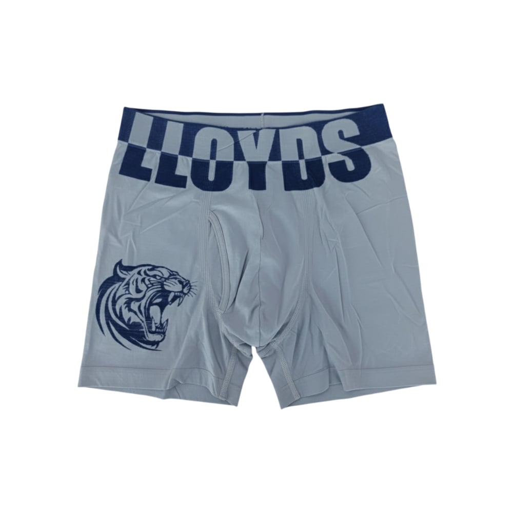 Calzoncillo gris para hombre LLoyds (Talla única) - Imagen 1