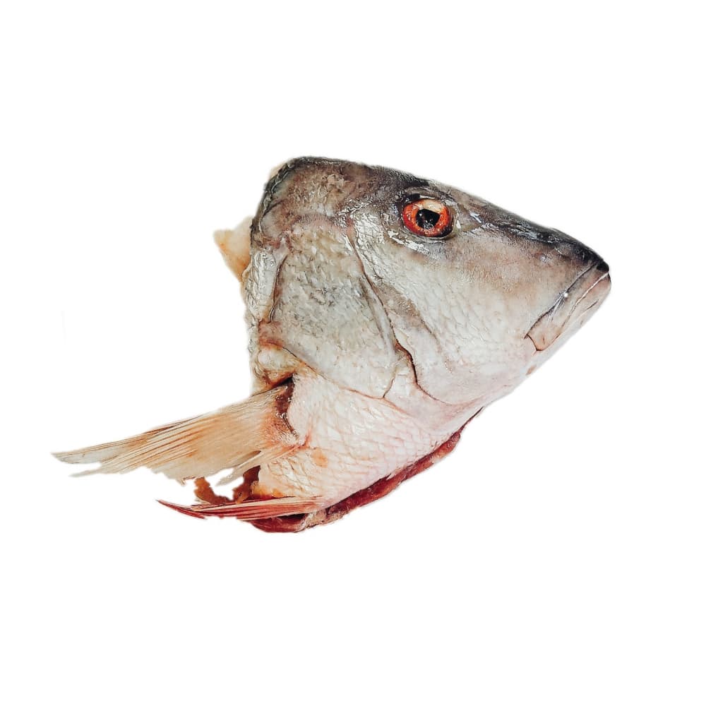Cabeza de pargo Yunque (1 kg / 2.2 lb) - Imagen 1