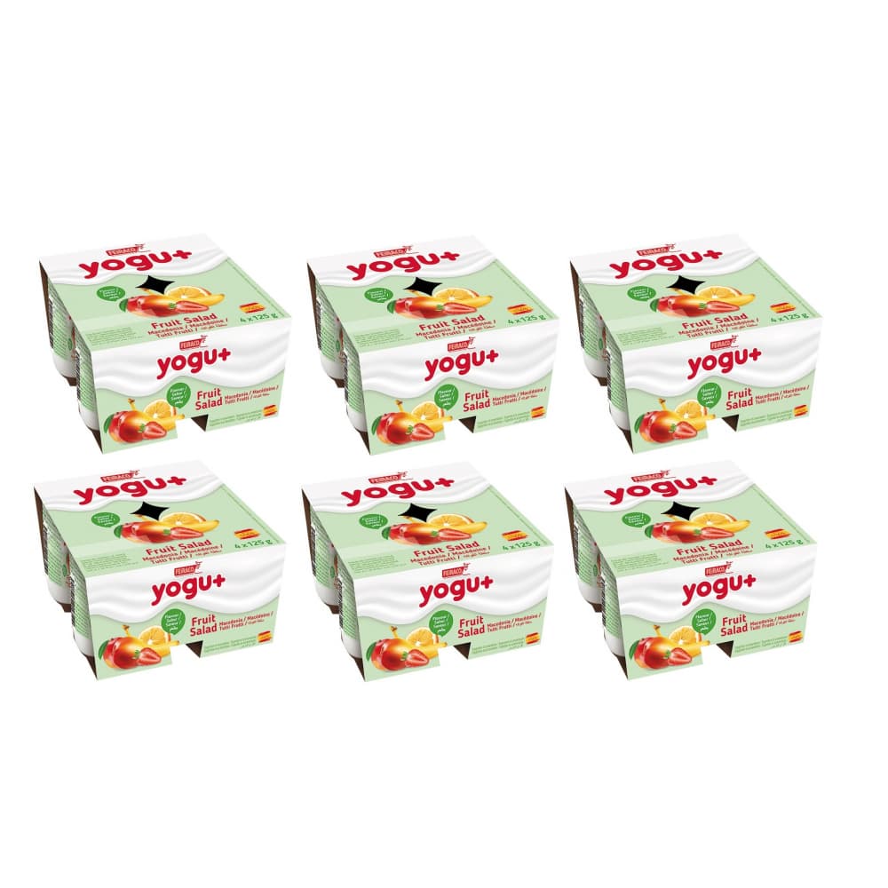 Yogur pasteurizado sabor a macedonia (24 x 125 g) - Imagen 1