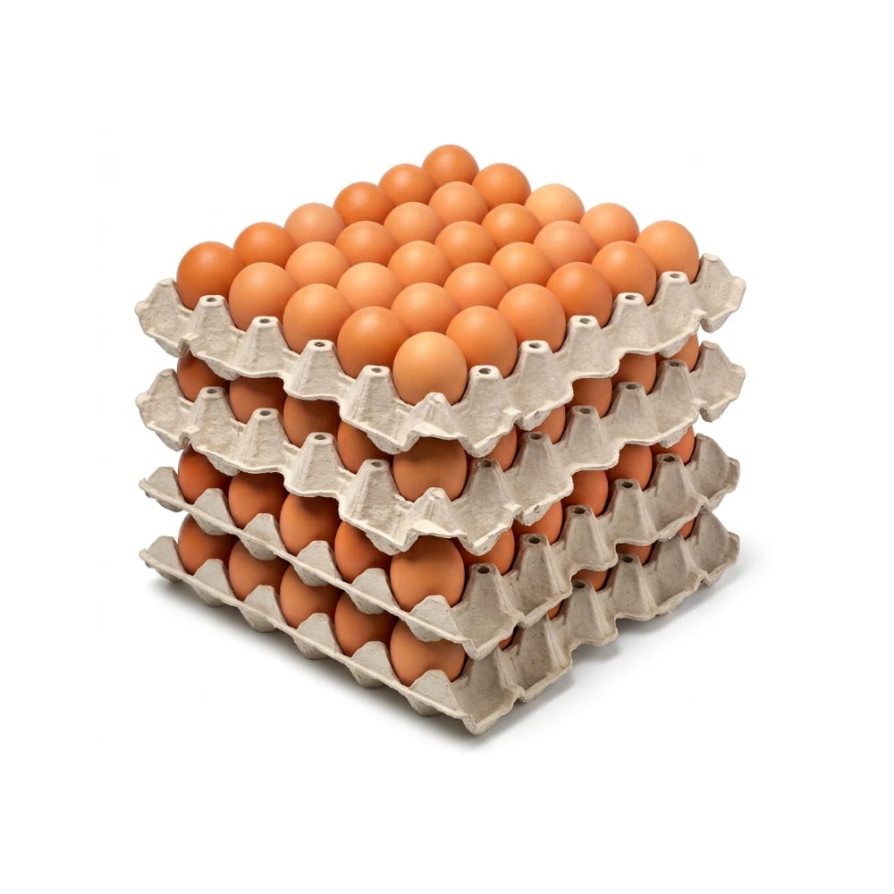 Huevo criollo orgánico e importado Peco ( 4 x 30 U) - Imagen 1