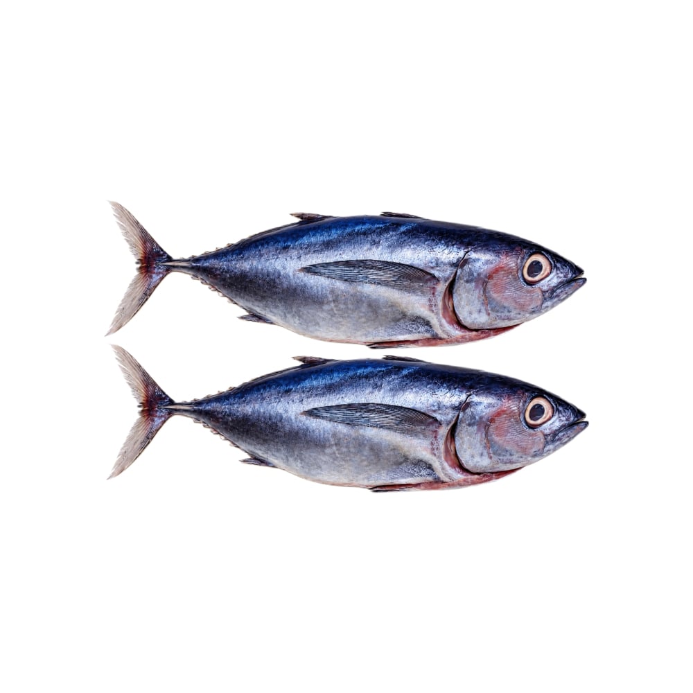 Pescado entero Bonito La Finca (2 kg / 4.4 lb) - Imagen 1
