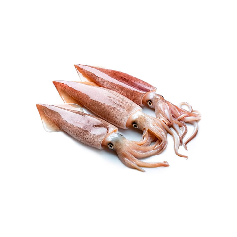 Calamar entero Pescaito (454 g / 1 lb) - Imagen 1
